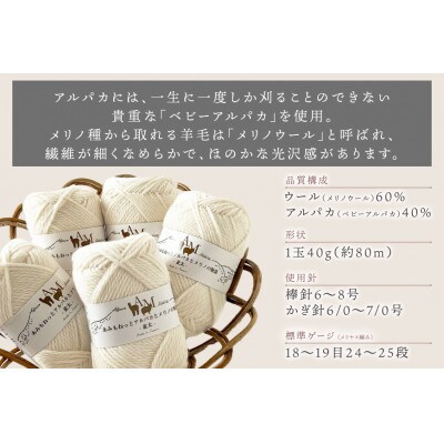 あみもねっと アルパカとメリノの物語並太 1番色 10玉セット