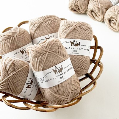 あみもねっと アルパカとメリノの物語並太 2番色 10玉セット