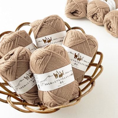 あみもねっと アルパカとメリノの物語並太 3番色 10玉セット