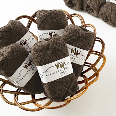 あみもねっと アルパカとメリノの物語並太 5番色 10玉セット