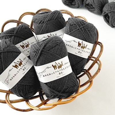 あみもねっと アルパカとメリノの物語並太 6番色 10玉セット