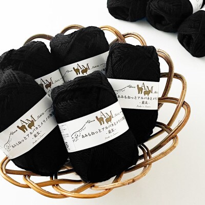 あみもねっと アルパカとメリノの物語並太 8番色 10玉セット