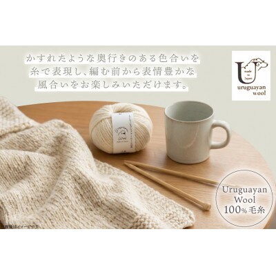 あみもねっと ウルグアイウール天然色 1番色 10玉セット
