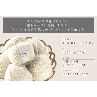 あみもねっと アルパカ天然色並太 1番色 10玉セット