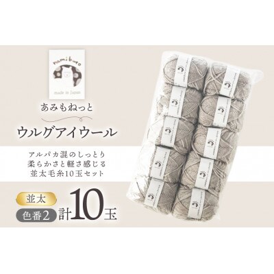あみもねっと アルパカ天然色並太 2番色 10玉セット