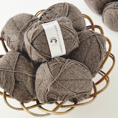 あみもねっと アルパカ天然色並太 4番色 10玉セット