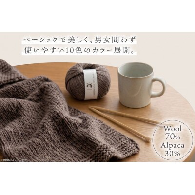 あみもねっと アルパカ天然色並太 4番色 10玉セット