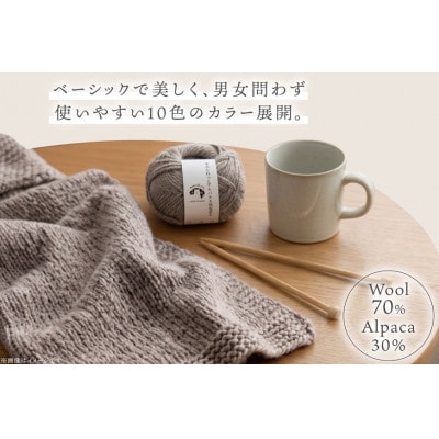 あみもねっと アルパカ天然色並太 5番色 10玉セット