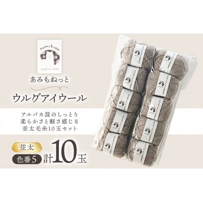 あみもねっと アルパカ天然色並太 5番色 10玉セット