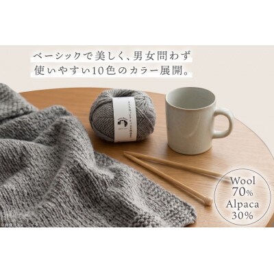 あみもねっと アルパカ天然色並太 6番色 10玉セット