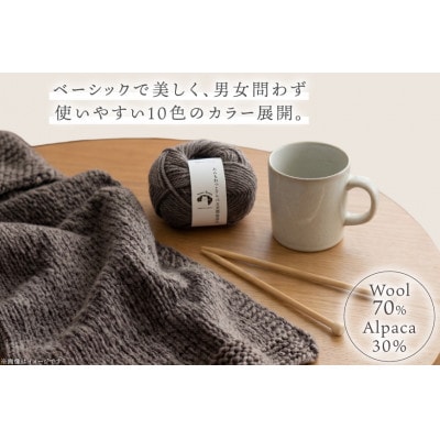 あみもねっと アルパカ天然色並太 7番色 10玉セット