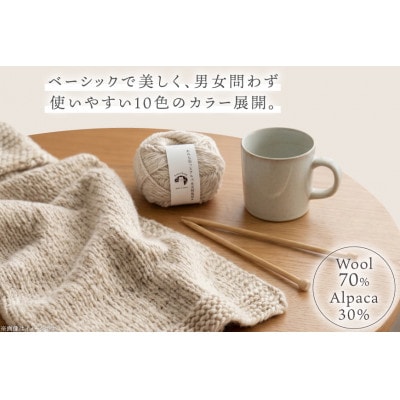 あみもねっと アルパカ天然色並太 8番色 10玉セット