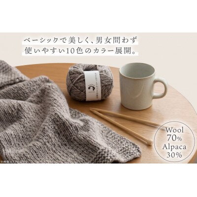 あみもねっと アルパカ天然色並太 10番色 10玉セット