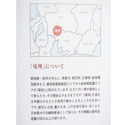 尾州織物　手提げバッグ　BE