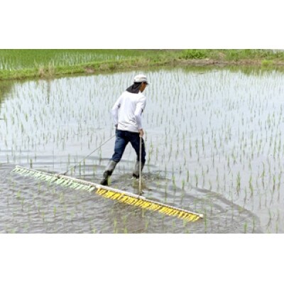 【さとふる限定】愛知県産『天寿』精米5kg　栽培期間中農薬・肥料・除草剤不使用