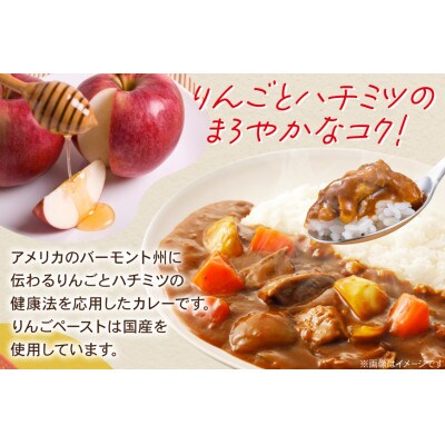 ハウス バーモントカレー 中辛 ×10個 レトルト食品  レンジ調理対応