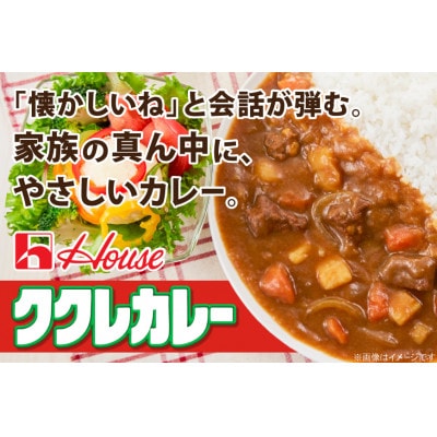 ハウス ククレカレー 中辛 & ジャワカレー 中辛 各10個 レトルト食品