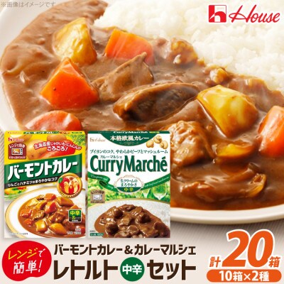 ハウス バーモントカレー 中辛 & カレーマルシェ 中辛 各10個 レトルト食品