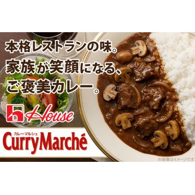 ハウス バーモントカレー 中辛 & カレーマルシェ 中辛 各10個 レトルト食品