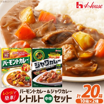 ハウス バーモントカレー 中辛 & ジャワカレー 中辛 各10個 レトルト食品