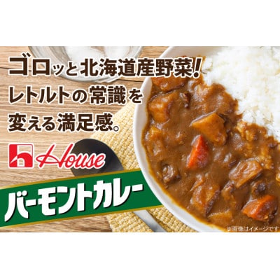 ハウス バーモントカレー 中辛 & ジャワカレー 中辛 各10個 レトルト食品