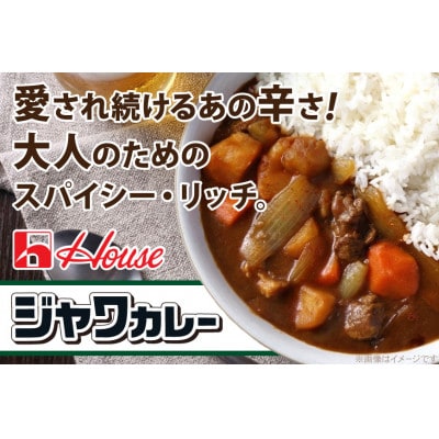 ハウス カレーマルシェ 中辛 & ジャワカレー 中辛 各10個 レトルト食品