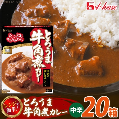 ハウス とろうま牛角煮カレー 中辛 200g ×20個 レトルトカレー レンジ調理対応