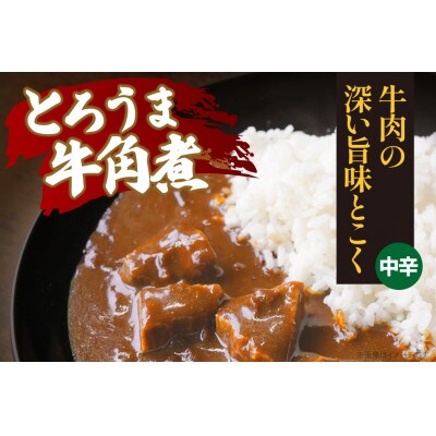 ハウス とろうま牛角煮カレー 中辛 200g ×20個 レトルトカレー レンジ調理対応