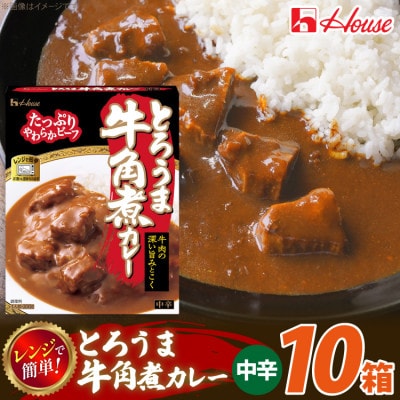 ハウス とろうま牛角煮カレー 中辛 200g ×10個 レトルトカレー レンジ調理対応