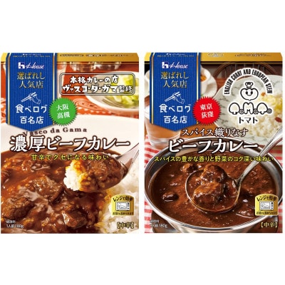 ハウス 選ばれし人気店　濃厚ビーフカレー &スパイス織りなすビーフカレー×各10個