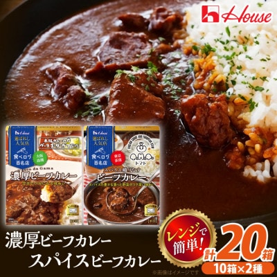 ハウス 選ばれし人気店　濃厚ビーフカレー &スパイス織りなすビーフカレー×各10個