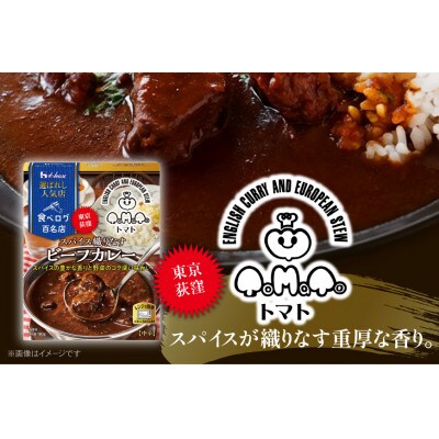 ハウス 選ばれし人気店　濃厚ビーフカレー &スパイス織りなすビーフカレー×各10個