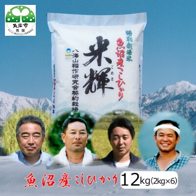 「令和6年産　」新潟県認証【特栽】魚沼産コシヒカリ　2kg×6