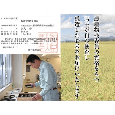 【令和8年産】農産物検査員お奨め、魚沼産こしひかり(精米)3kg