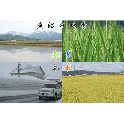 【令和8年産】農産物検査員お奨め、魚沼産こしひかり(精米)12kg(3kg×4)