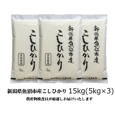 【令和4年産】農産物検査員お奨め、魚沼産こしひかり(精米)15kg(5kg×3)