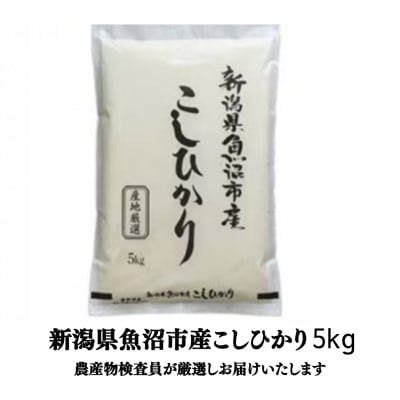 農産物検査員お奨め、魚沼産こしひかり(精米)5kg