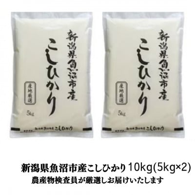農産物検査員お奨め、魚沼産こしひかり(精米)10kg(5kg×2袋)