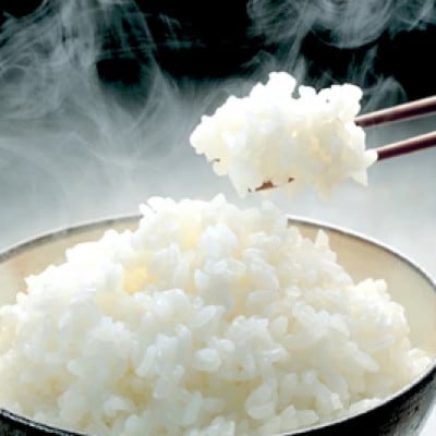 【令和8年産先行受付】【新潟県認証・特別栽培米】魚沼産こしひかり(精米)2kg