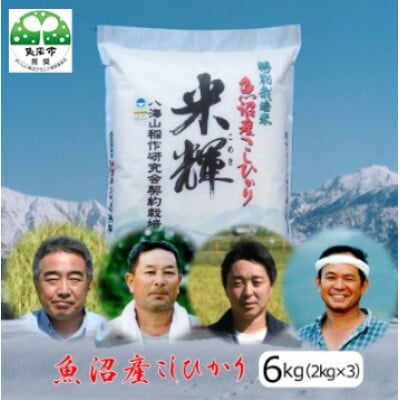 【令和8年産先行受付】【新潟県認証・特別栽培米】魚沼産こしひかり(精米)6kg(2kg×3)