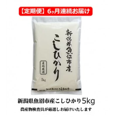 【毎月定期便】農産物検査員お奨め　魚沼産こしひかり(精米)5kg全6回