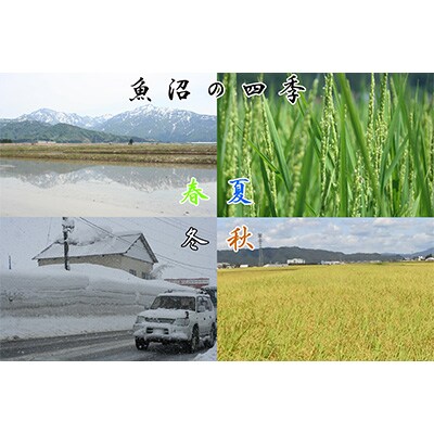 2023年1月発送開始『定期便』農産物検査員お奨め、魚沼産こしひかり(精米)5kg全6回