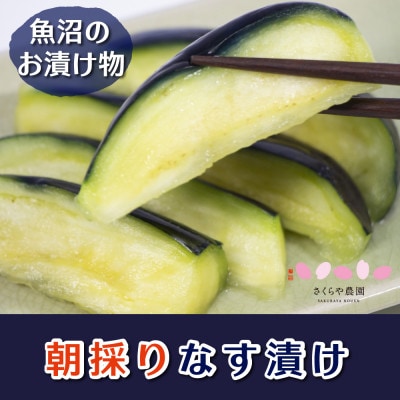 農家が作る 新鮮採れたてなすを使った 魚沼なす漬け　4個入り×5袋