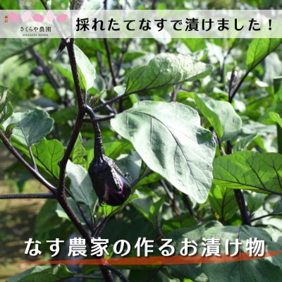農家が作る 新鮮採れたてなすを使った 魚沼なす漬け　4個入り×5袋