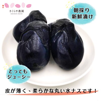 農家が作る 新鮮採れたてなすを使った 魚沼なす漬け　4個入り×5袋