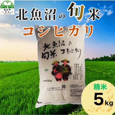 【令和8年産　新米先行受付】北魚沼の旬米コシヒカリ(精米)5kg