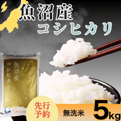【令和8年産　新米先行受付】さくらや農園 魚沼産コシヒカリ 無洗米5kg