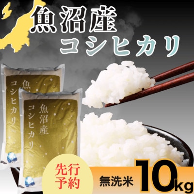 【令和8年産　新米 先行受付】さくらや農園 魚沼産コシヒカリ 無洗米10kg(5kg×2袋)