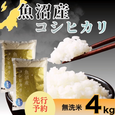 【令和8年産 新米 先行受付】さくらや農園 魚沼産コシヒカリ 無洗米4kg(2kg×2)