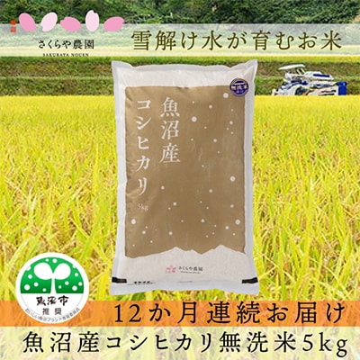 【毎月定期便】魚沼産コシヒカリ　無洗米5kg　さくらや農園　魚沼ブランド推奨認定コシヒカリ 全12回